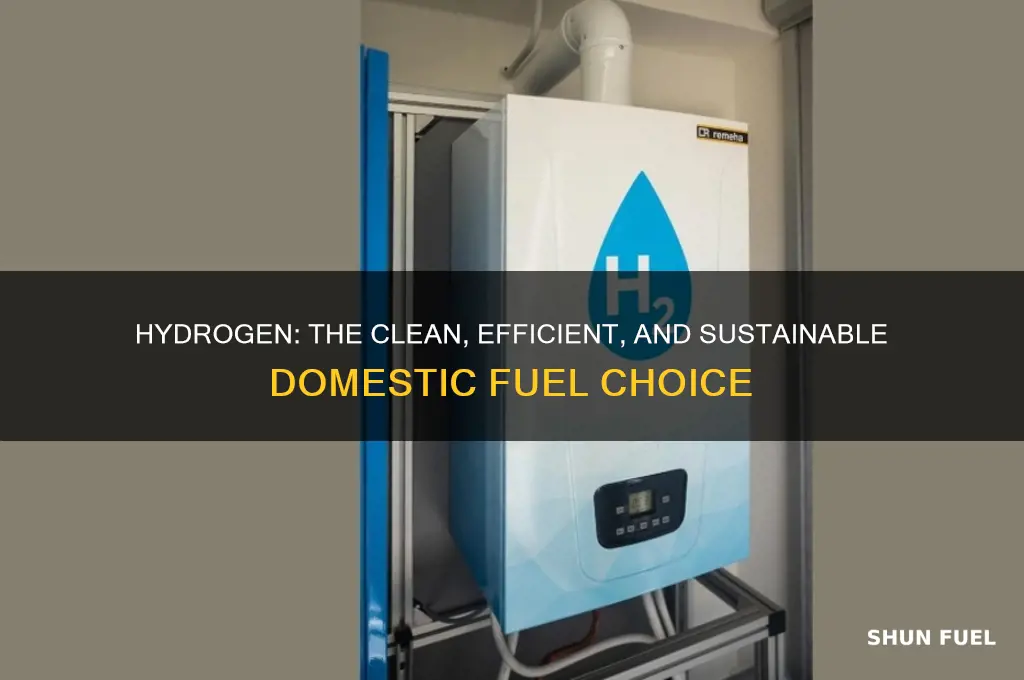 why hydrogen used as domestic fuel