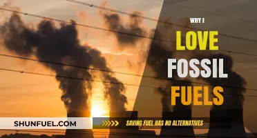Why Fossil Fuels Remain My Energy Source of Choice
