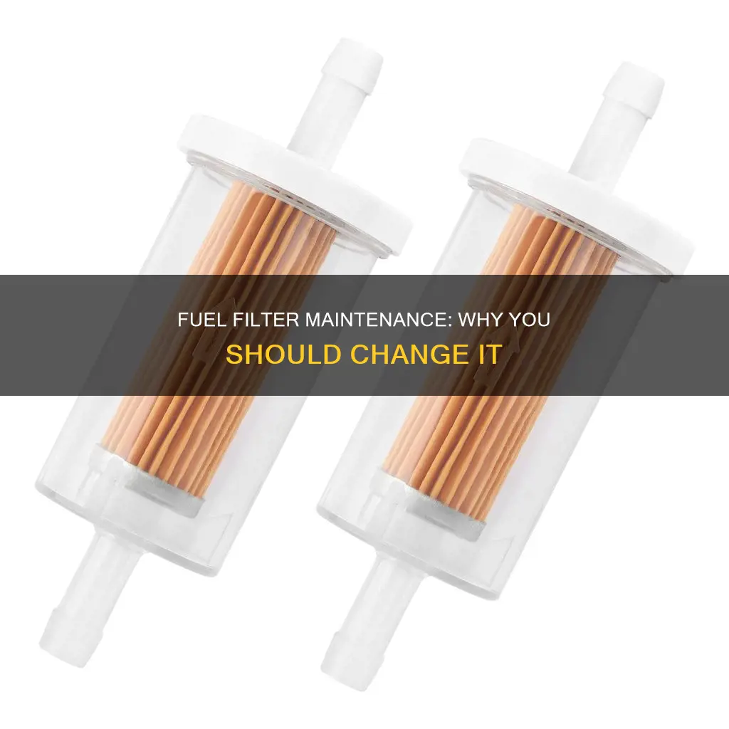 why i need to chamge or replace my fuel filter