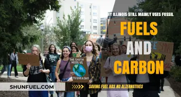 Illinois' Fossil Fuel Dependence: Unraveling the Carbon-Intensive Energy Landscape