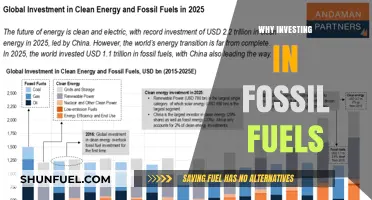 Why Investing in Fossil Fuels Still Makes Financial Sense Today