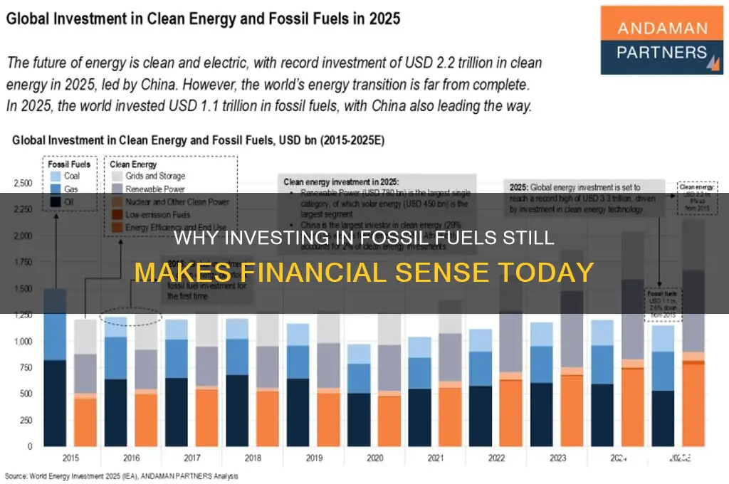 why investing in fossil fuels