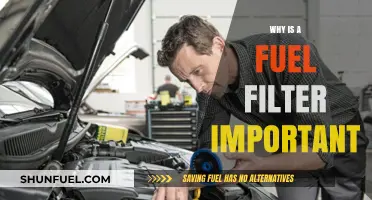 Fuel Filter: Why It's Vital for Your Vehicle's Health