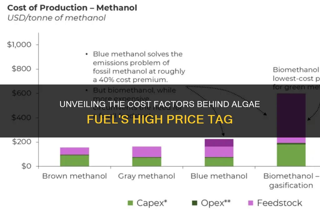 why is algae fuel expensive