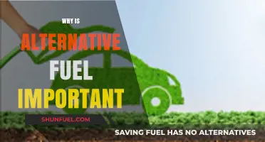 Sustainable Energy Solutions: The Vital Role of Alternative Fuels
