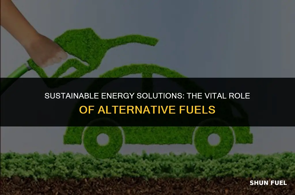 why is alternative fuel important