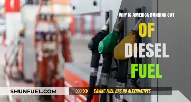 Diesel Crisis: America's Fuel Shortage Explained