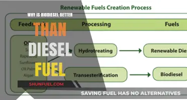 Biodiesel: A Greener, Cleaner, and Sustainable Fuel Option