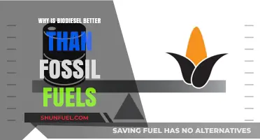 Biodiesel vs. Fossil Fuels: Cleaner, Renewable, and Sustainable Energy Choice