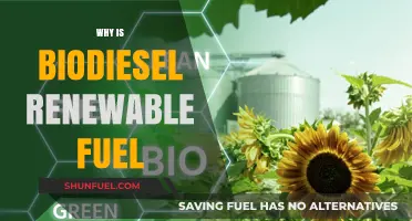 Sustainable Energy: The Renewable Promise of Biodiesel Fuel