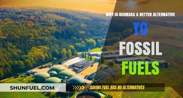 Biomass: A Sustainable, Renewable Alternative to Fossil Fuels
