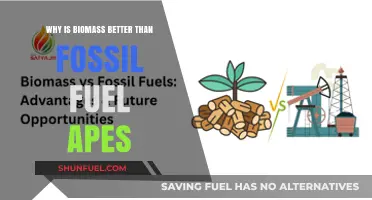 Biomass vs. Fossil Fuels: Sustainable Energy for a Greener Future