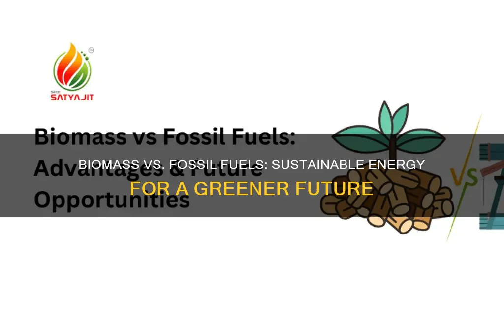 why is biomass better than fossil fuel apes