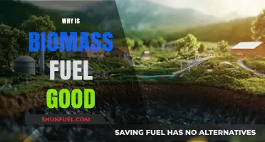 Sustainable Energy Solution: The Benefits of Biomass Fuel