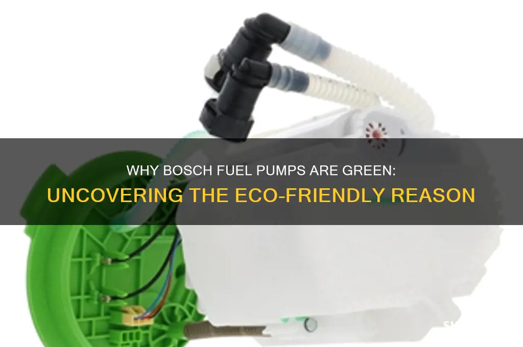 why is bosch fuel pump green