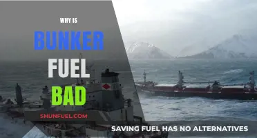 The Environmental Impact of Bunker Fuel: A Critical Analysis