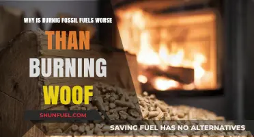 Fossil Fuels vs. Wood: The Hidden Environmental Costs of Burning