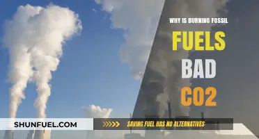 Burning Fossil Fuels: The CO2 Crisis and Its Global Impact