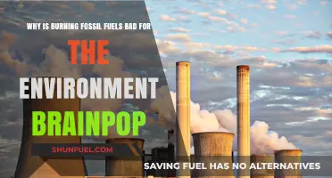 Burning Fossil Fuels: Environmental Impact and BrainPOP Insights Explained