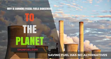Burning Fossil Fuels: A Dangerous Threat to Our Planet's Future