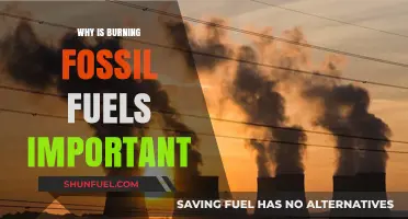 The Crucial Role of Burning Fossil Fuels in Modern Energy