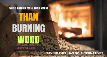 Fossil Fuels vs. Wood: The Environmental Impact of Burning
