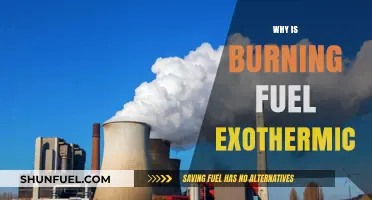 The Heat is On: Unraveling the Exothermic Mystery of Burning Fuel