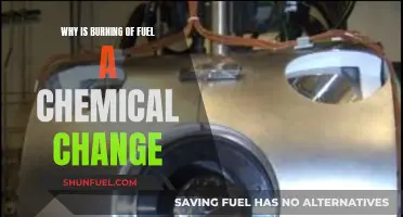 Chemical Changes: Burning Fuel, a Complex Reaction Explained