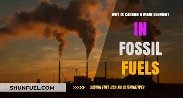 Carbon's Dominance: The Science Behind Fossil Fuels' Primary Element