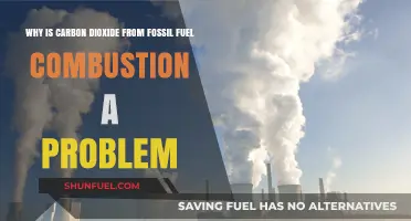 Fossil Fuel CO2 Emissions: A Growing Climate Crisis Explained