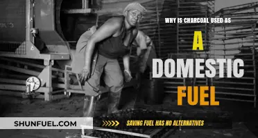 Charcoal as Domestic Fuel: Benefits, Uses, and Environmental Impact