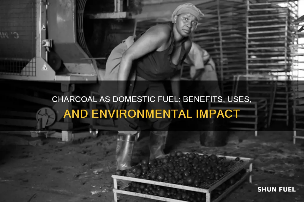 why is charcoal used as a domestic fuel
