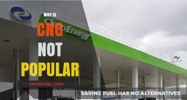 Exploring the Reasons Behind CNG's Lack of Popularity