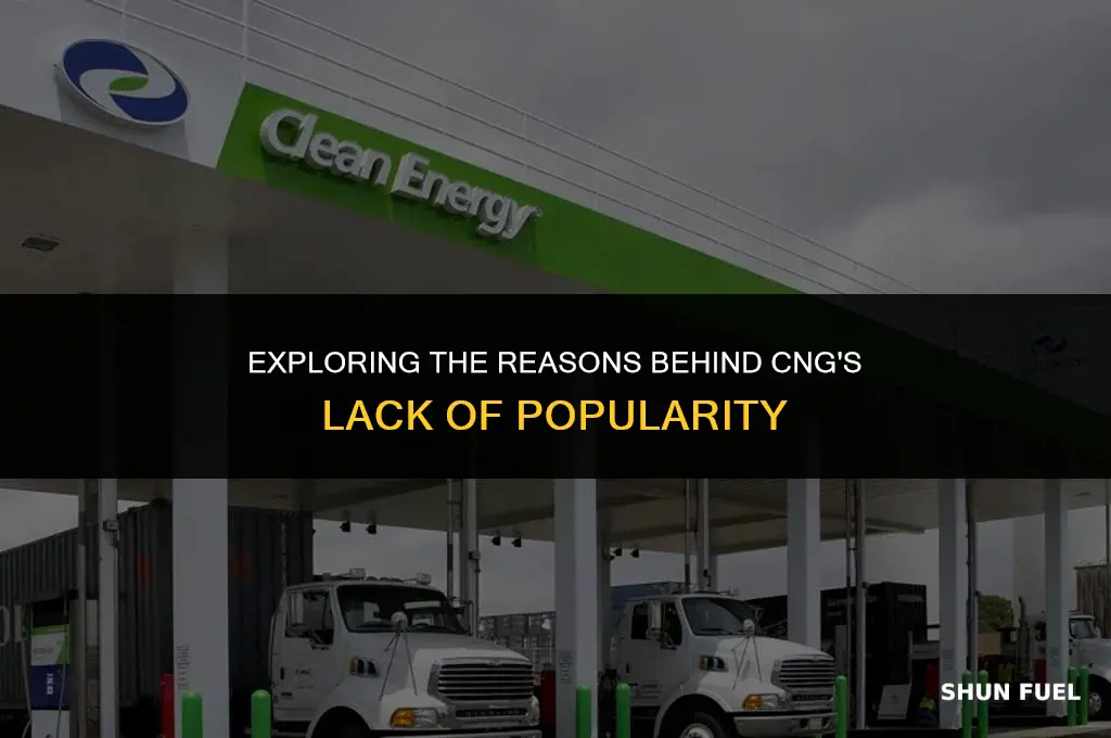 why is cng not popular