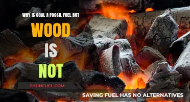 Coal vs. Wood: Understanding the Fossil Fuel Distinction