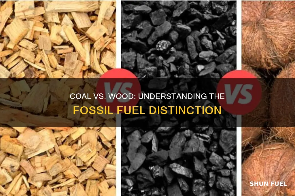 why is coal a fossil fuel but wood is not