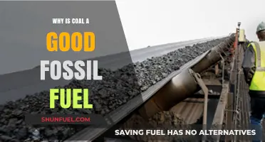 Coal's Advantages: A Reliable, Affordable, and Abundant Fossil Fuel Source