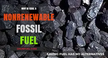 Why Coal is a Nonrenewable Fossil Fuel: Understanding Its Limitations