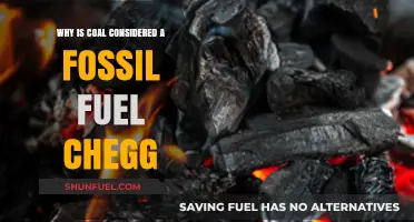 Why Coal is Classified as a Fossil Fuel: Chegg Explains