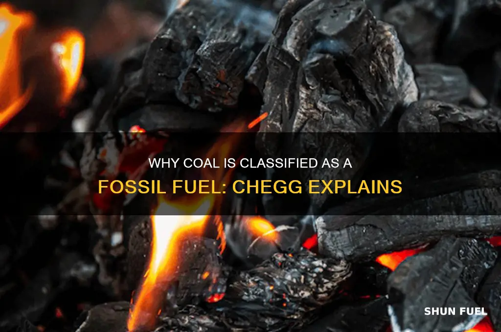 why is coal considered a fossil fuel chegg