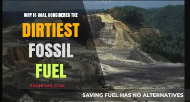 Coal's Dark Legacy: The Dirtiest Fossil Fuel and Its Environmental Impact