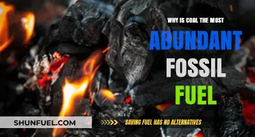 Coal's Dominance: Understanding Its Abundance as a Fossil Fuel