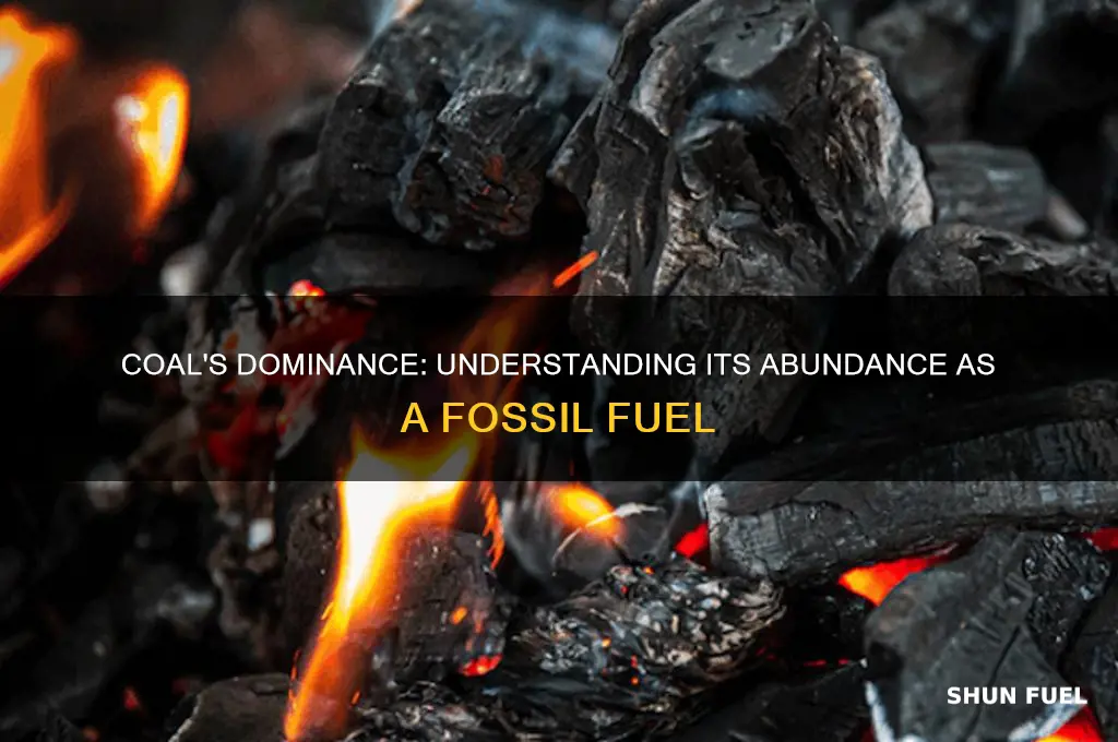 why is coal the most abundant fossil fuel