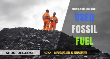 Why Coal Dominates: The Most Used Fossil Fuel Explained