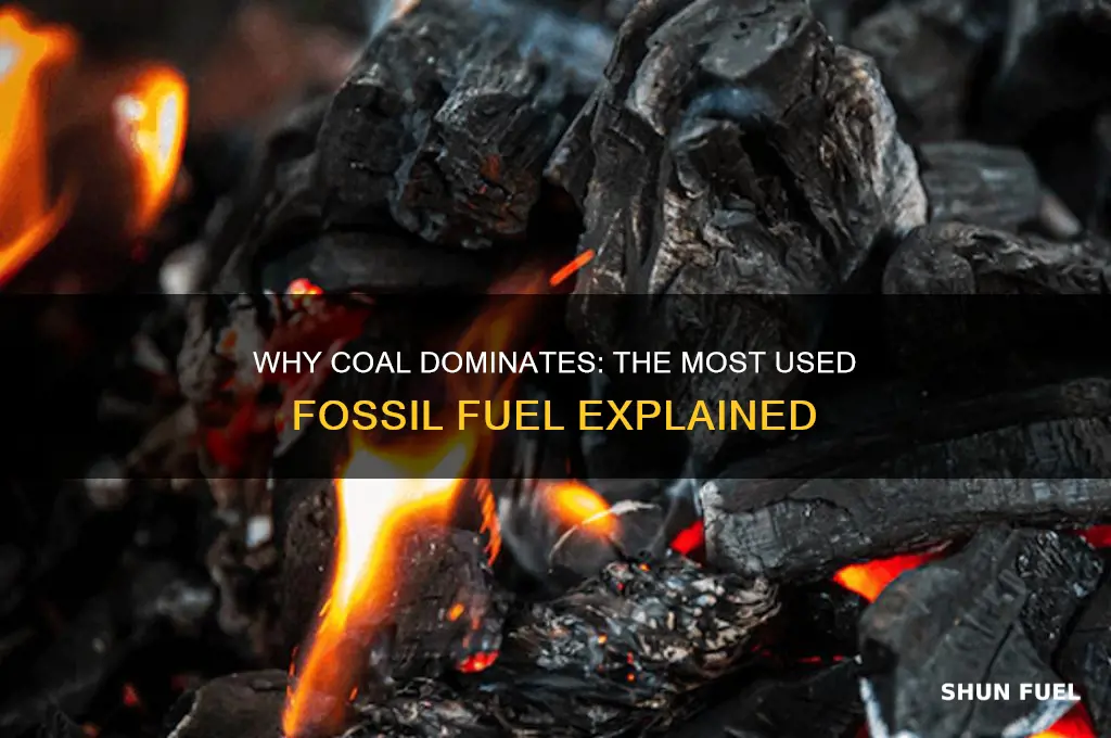 why is coal the most used fossil fuel