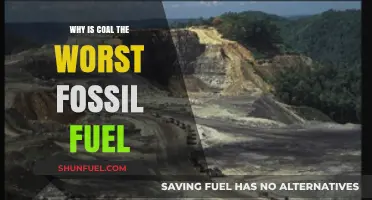 Coal's Devastating Impact: The Worst Fossil Fuel for Our Planet