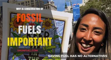 Preserving Fossil Fuels: Why Conservation is Crucial for Our Future