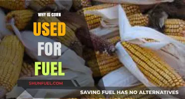 Why Corn is a Key Ingredient in Biofuel Production