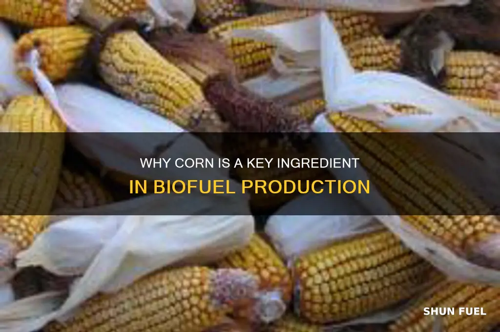 why is corn used for fuel