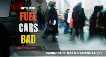 Diesel Cars: Environmentally Damaging and a Health Hazard